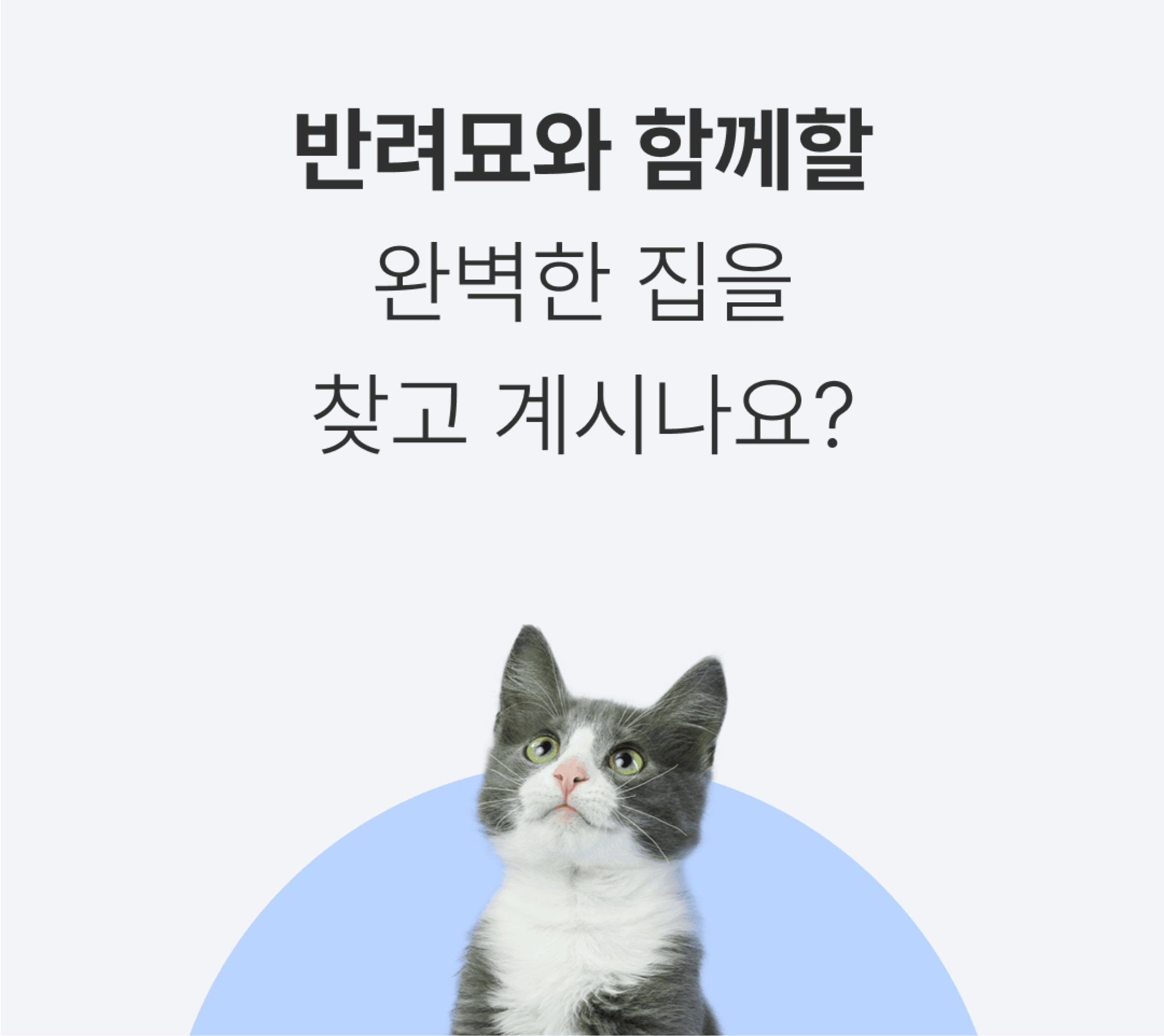 유저 배너 이미지